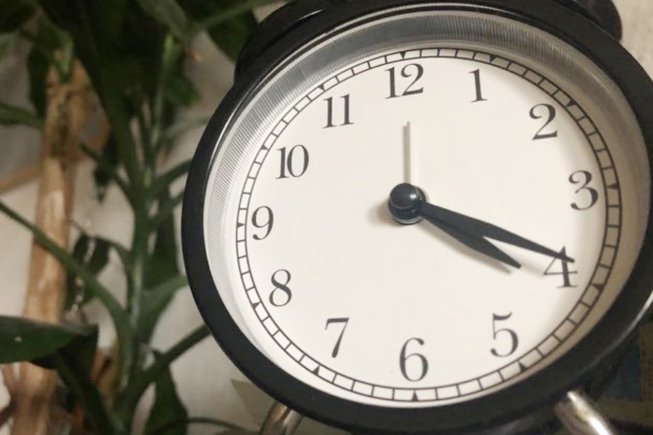 Ein klassischer, runder Wecker mit einem weißen Ziffernblatt und schwarzen arabischen Ziffern ist auf das Bild fokussiert. Die Zeiger stehen auf 4:20, einem Begriff, der oft in der Cannabis-Kultur verwendet wird. Der Wecker ist von grünen Pflanzen umgeben, was auf ein natürliches und organisches Umfeld hinweist. Dies könnte symbolisch für die Verbindung von Zeitmanagement im Marketing mit Themen wie Cannabis, CBD und digitalen Werkzeugen wie SEO, Social Media und WordPress stehen. Der natürliche Hintergrund verstärkt die Assoziation mit einer nachhaltigen und umweltfreundlichen Marketingstrategie.