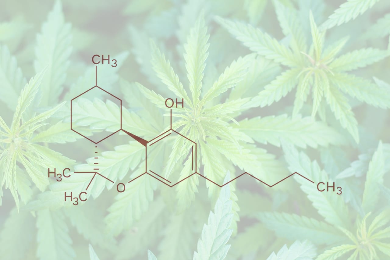 Das Bild zeigt die chemische Strukturformel von THC, eingeblendet über ein Hintergrundbild von grünen Cannabisblättern. Die Darstellung kombiniert wissenschaftliche Elemente mit einer natürlichen Pflanzenästhetik und symbolisiert die Verbindung von Cannabis und Wissenschaft. Diese Visualisierung kann für eine Cannabis-Marketingagentur relevant sein, indem sie Themen wie CBD, THC, Naturmedizin und modernste Marketingstrategien anspricht, die in der Branche eingesetzt werden, wie SEO, Social Media und Zahlungsintegration.