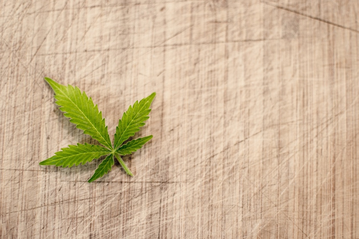 Das Bild zeigt ein einzelnes grünes Cannabisblatt, das auf einer hellbraunen Holzoberfläche mit sichtbaren Maserungen und Kratzern liegt. Das Blatt ist scharf fokussiert, während der Hintergrund unscharf ist, was die Textur des Holzes hervorhebt. Dieses Bild könnte in einem Marketingkontext für eine Cannabis-Marketingagentur wie 420MKT verwendet werden und Themen wie CBD, Social Media, SEO oder E-Commerce-Integration reflektieren.