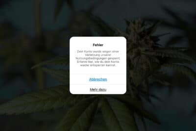 Ein Pop-up mit der Fehlermeldung "Dein Konto wurde wegen einer Verletzung unserer Nutzungsbedingungen gesperrt. Erfahre hier, wie du dein Konto wieder entsperren kannst." Die Schaltflächen darunter lauten "Abbrechen" und "Mehr dazu". Im Hintergrund sind verschwommen Cannabisblätter zu sehen. Dieses Bild symbolisiert die Herausforderungen im Cannabis-Marketing, wie rechtliche Hürden und die Notwendigkeit von regelkonformer Online-Präsenz für Unternehmen in dieser Branche. Schlagwörter: Cannabis, Marketing, Compliance, Online-Präsenz.