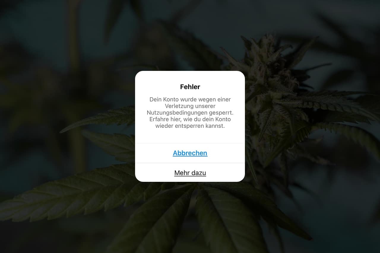 Ein Pop-up mit der Fehlermeldung "Dein Konto wurde wegen einer Verletzung unserer Nutzungsbedingungen gesperrt. Erfahre hier, wie du dein Konto wieder entsperren kannst." Die Schaltflächen darunter lauten "Abbrechen" und "Mehr dazu". Im Hintergrund sind verschwommen Cannabisblätter zu sehen. Dieses Bild symbolisiert die Herausforderungen im Cannabis-Marketing, wie rechtliche Hürden und die Notwendigkeit von regelkonformer Online-Präsenz für Unternehmen in dieser Branche. Schlagwörter: Cannabis, Marketing, Compliance, Online-Präsenz.