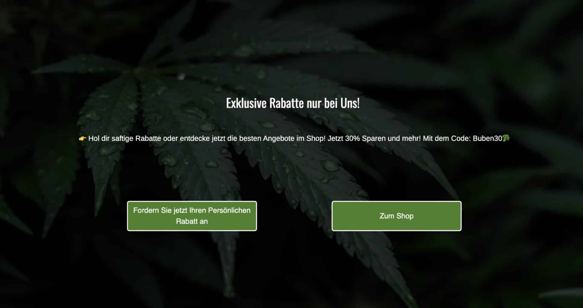 Klassische Bridge Pages für Google Ads Cannabis